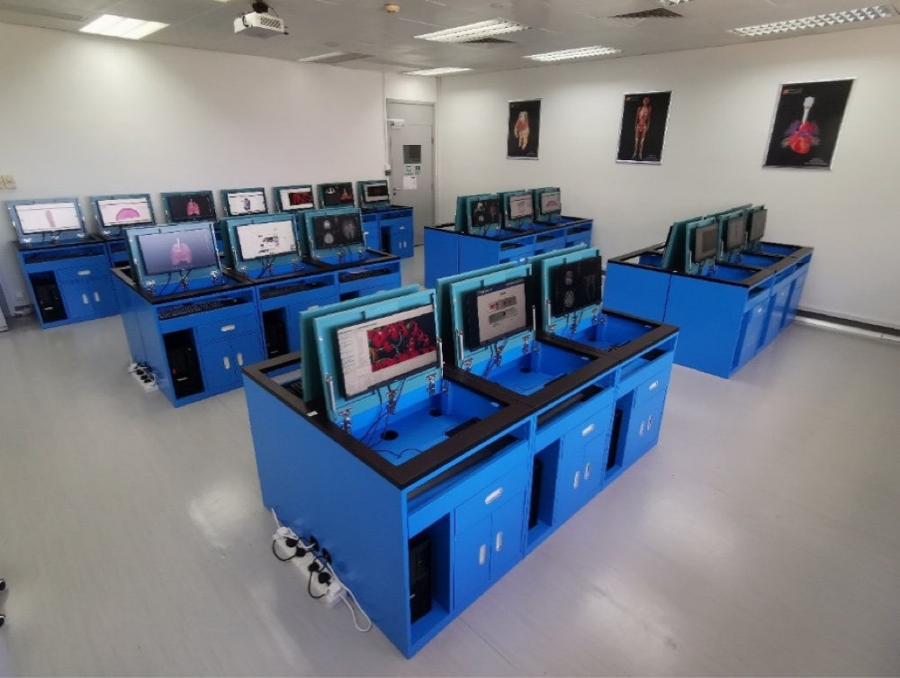 computational simulation laboratory for physiology and pathology